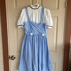 Blue Gingham Dorothy Dress with White Blouse